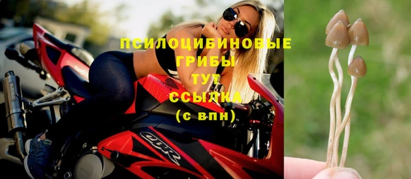круглые Алексеевка