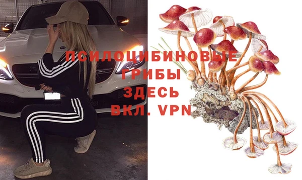 дживик Аркадак