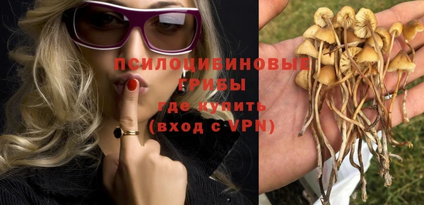 мяу мяу мука Алзамай