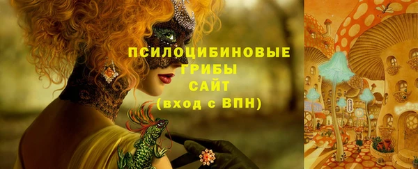 мяу мяу мука Алзамай